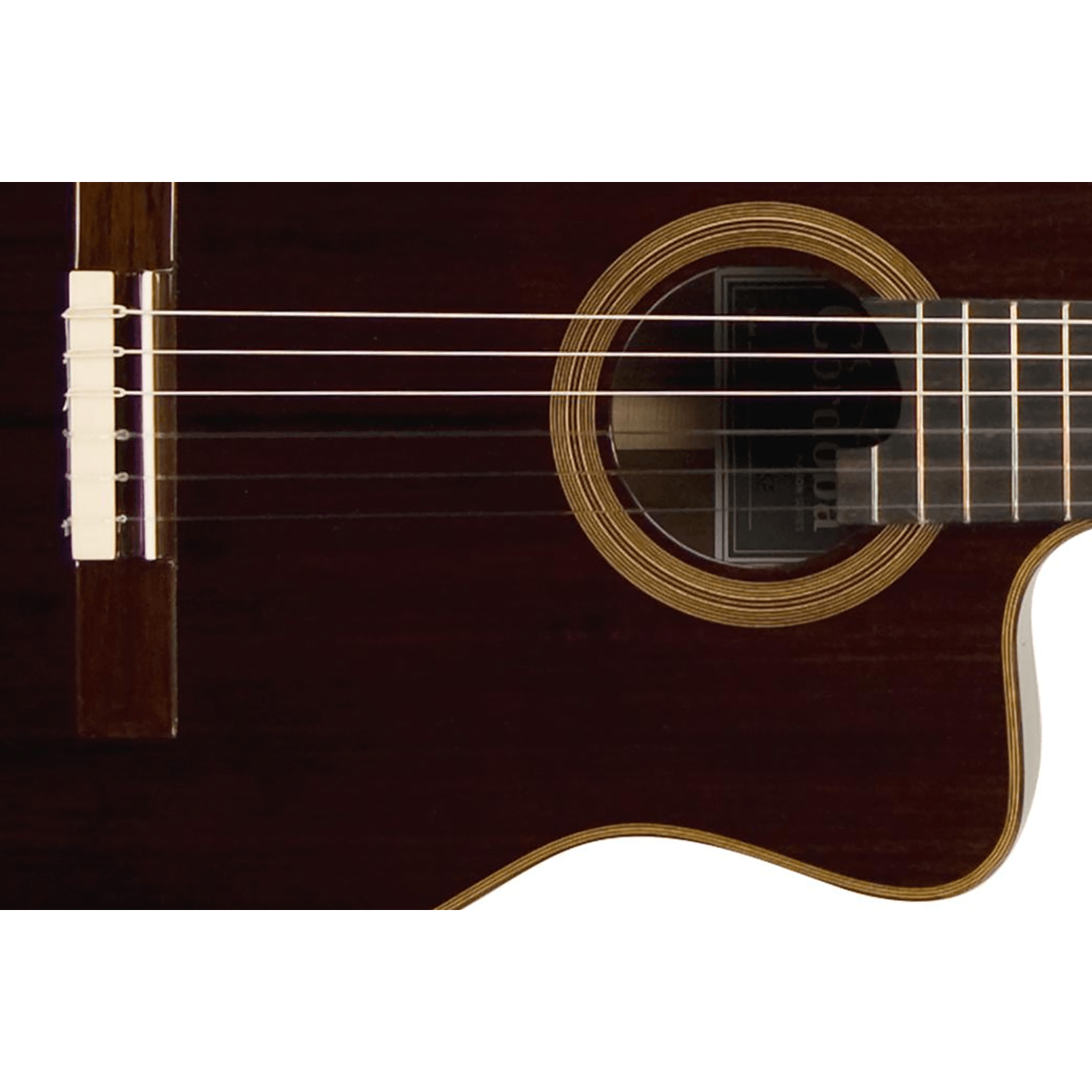 Cordoba fusion 14 rosewood best sale
