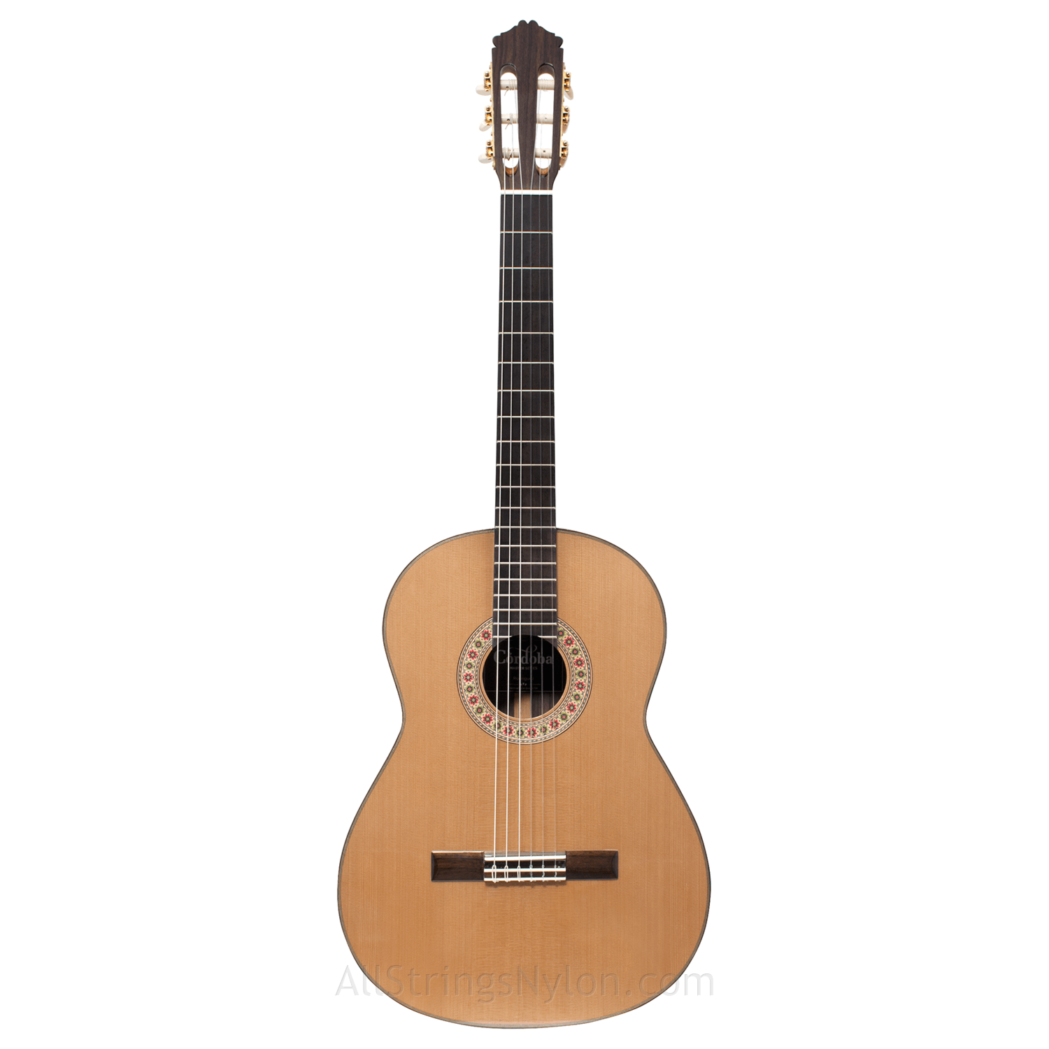 Best cordoba guitar on sale