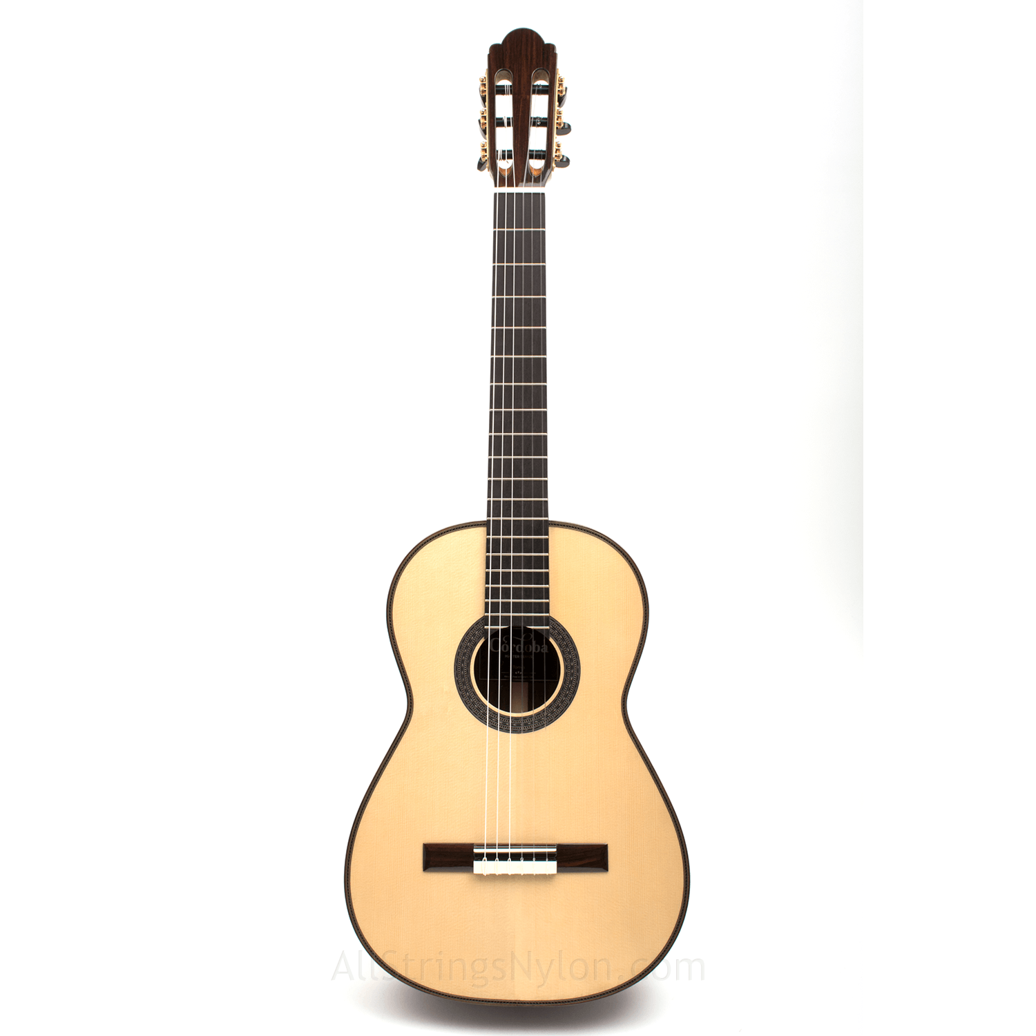 Torres guitar cheap