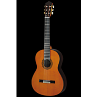 Yamaha GC22C Concert Classical Guitar