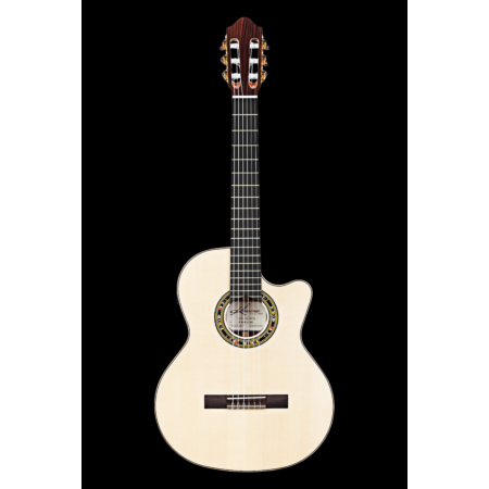 Kremona Performer Series Fiesta F65CW-SB