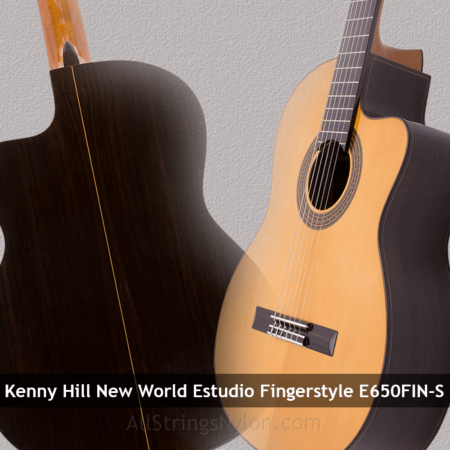 Kenny Hill New World Estudio E650-Fingerstyle Spruce