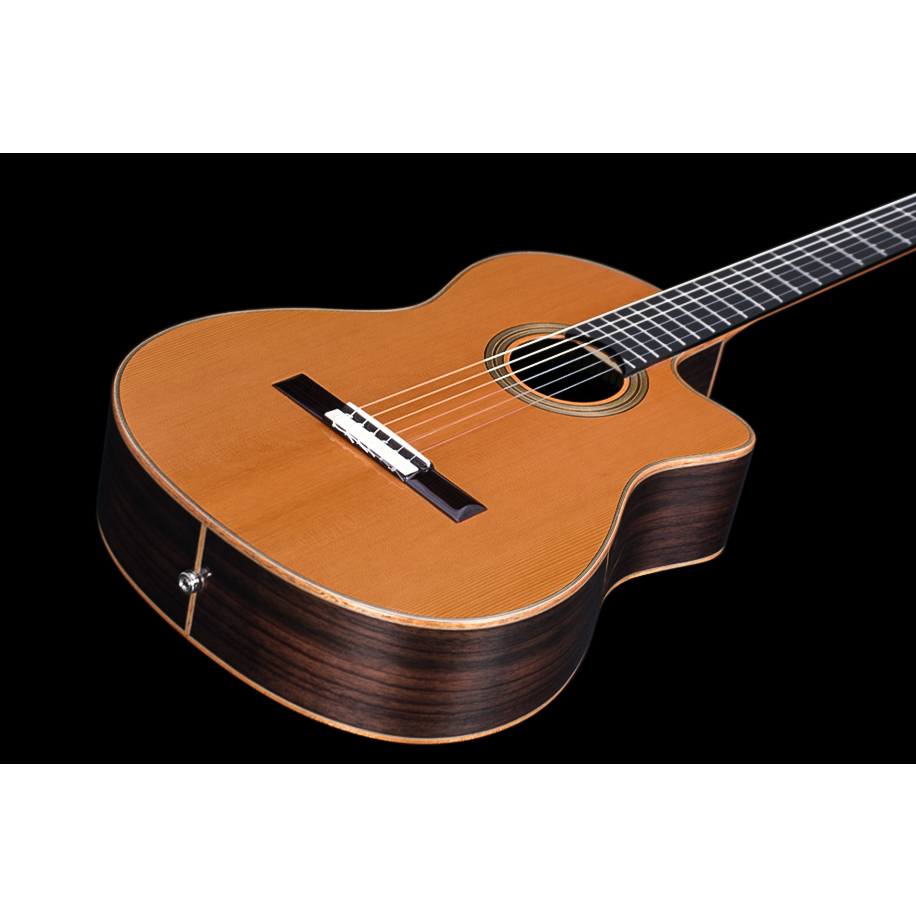 Cordoba fusion 12 orchestra ce discount