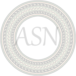 LR Baggs Venue DI Acoustic Guitar Preamp