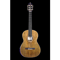Kremona Luthier Series 100th Year Anniversary-Torrified Cedar
