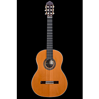 Kenny Hill New World Player Cedar P650C-With Elevated Fingerboard And Ports