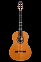 Kenny Hill New World Player Cedar P650C-With Elevated Fingerboard And Ports