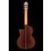 Kremona Performer Series Fiesta F65CW-SB