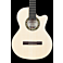 Kremona Performer Series Fiesta F65CW-SB