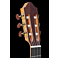Kremona Performer Series Fiesta F65CW-SB