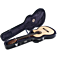 Cordoba Protege Hardshell Case Open