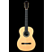 Cordoba Luthier C12-SP