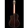 Cordoba Fusion 12 Orchestra CE CD 