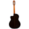 Kenny Hill New World Estudio E650-Fingerstyle back