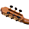 Kenny Hill New World Estudio E650-Fingerstyle headstock back