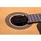 Kenny Hill New World Estudio E650-Fingerstyle rosette