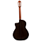 Kenny Hill New World Player Fingerstyle P650FIN back