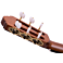 Kenny Hill New World Player Fingerstyle P650FIN headstock back