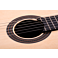 Kenny Hill New World Player Fingerstyle P650FIN rosette