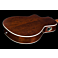 Godin Arena Mahogany CW QIT