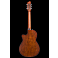 Godin Arena Mahogany CW QIT