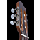 Godin Arena Mahogany CW QIT