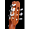 Godin Arena Mahogany CW QIT