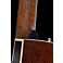 Godin Arena Mahogany CW QIT