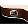 Godin Arena Mahogany CW QIT