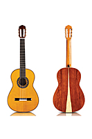 Cordoba Master Series Esteso (Standard-Cedar)