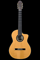 Kenny Hill New World Player Cutaway Spruce P650CUT-S-CONSIGNMENT