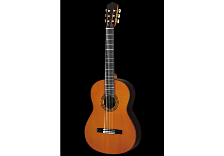 Yamaha GC22C Concert Classical Guitar